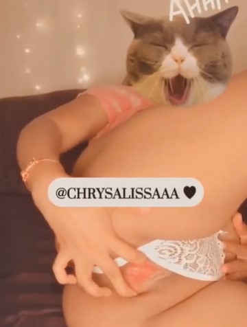 Chrysalissa