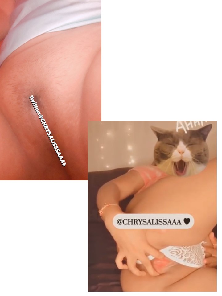 Chrysalissa